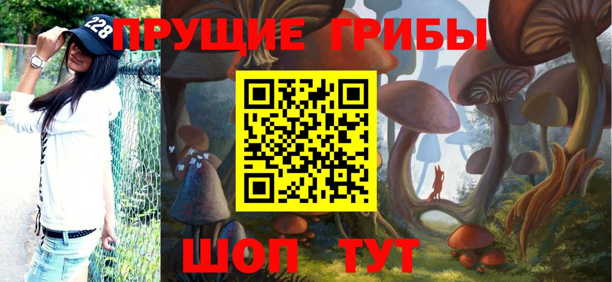 Галлюциногенные грибы Magic Shrooms Волгоград